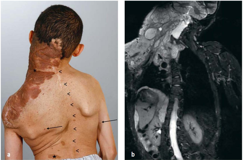 Изображение на обложке