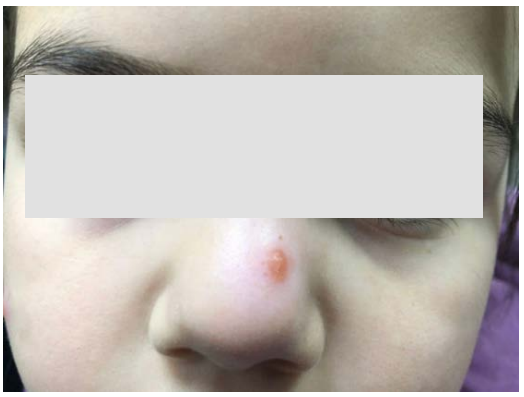 Изображение на обложке