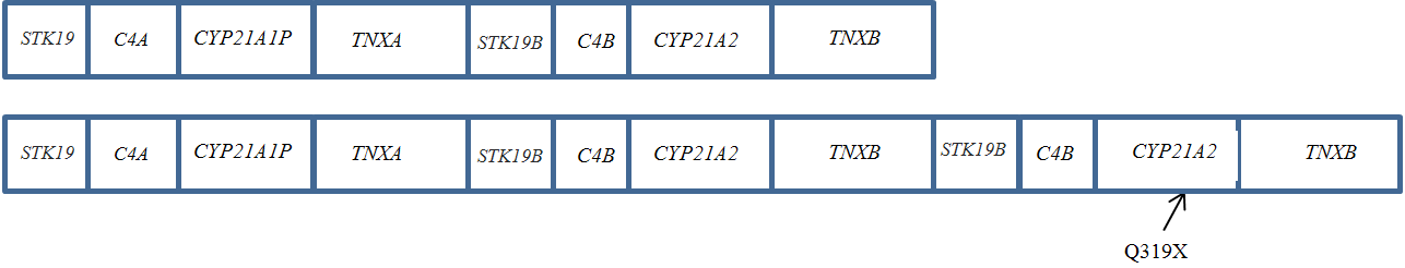 Изображение на обложке